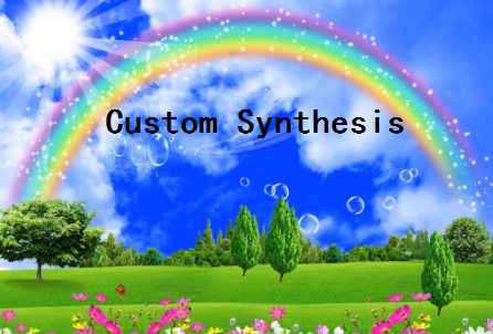 Custom Synthesis